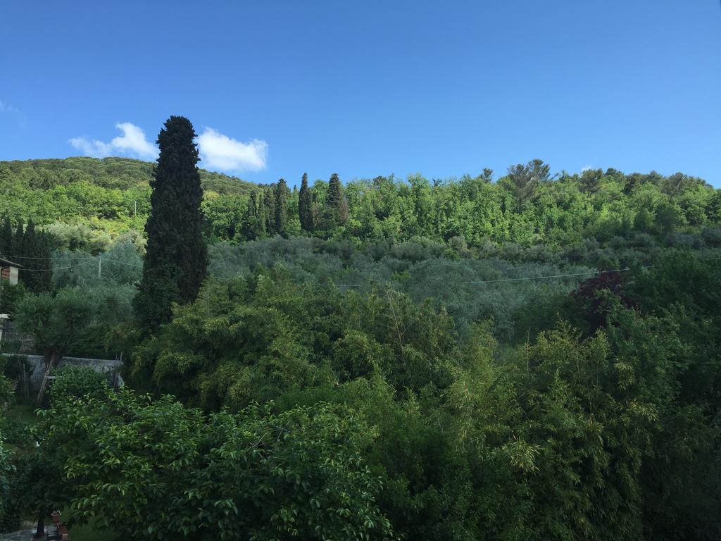 Villa Nobili B&B Bagno A Ripoli Ngoại thất bức ảnh