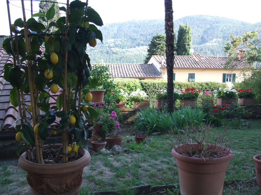 Villa Nobili B&B Bagno A Ripoli Ngoại thất bức ảnh